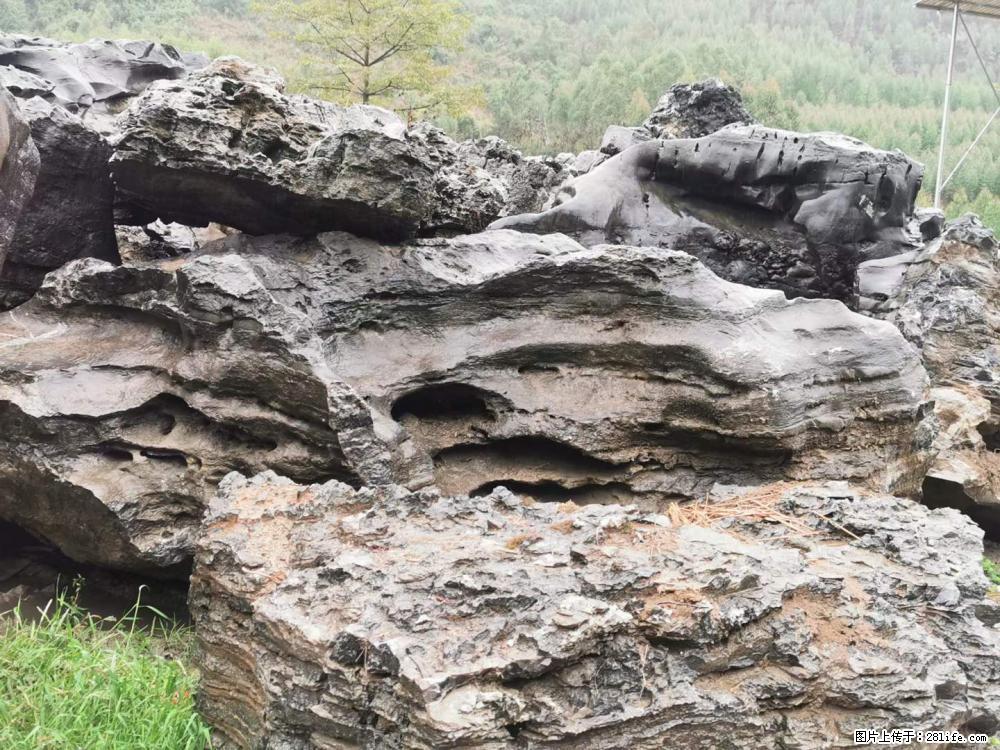 风景石、假山石大量有货，有需要的欢迎联系 - 新手上路 - 沈阳生活社区 - 沈阳28生活网 sy.28life.net