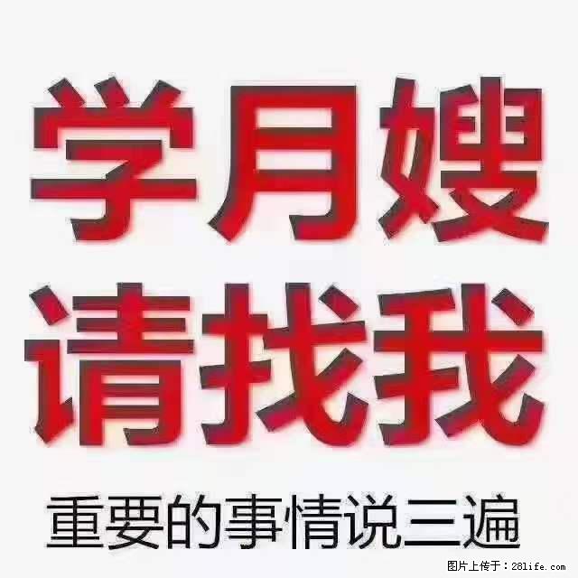 为什么要学习月嫂，育婴师？ - 新手上路 - 沈阳生活社区 - 沈阳28生活网 sy.28life.net
