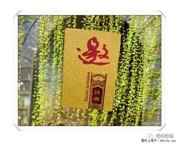 【春天，广西桂林灌阳县向您发出邀请！】开篇 - 游山玩水 - 沈阳生活社区 - 沈阳28生活网 sy.28life.net