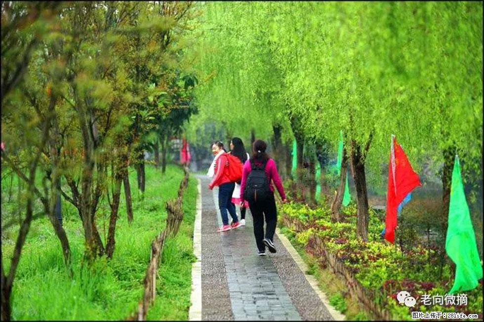 【春天，广西桂林灌阳县向您发出邀请！】江口老街又逢春 - 游山玩水 - 沈阳生活社区 - 沈阳28生活网 sy.28life.net