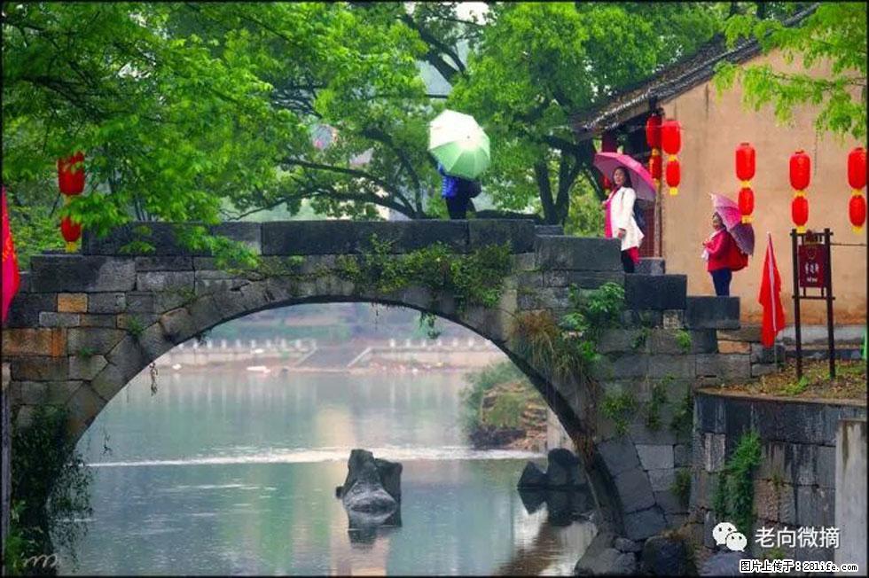 【春天，广西桂林灌阳县向您发出邀请！】江口老街又逢春 - 游山玩水 - 沈阳生活社区 - 沈阳28生活网 sy.28life.net