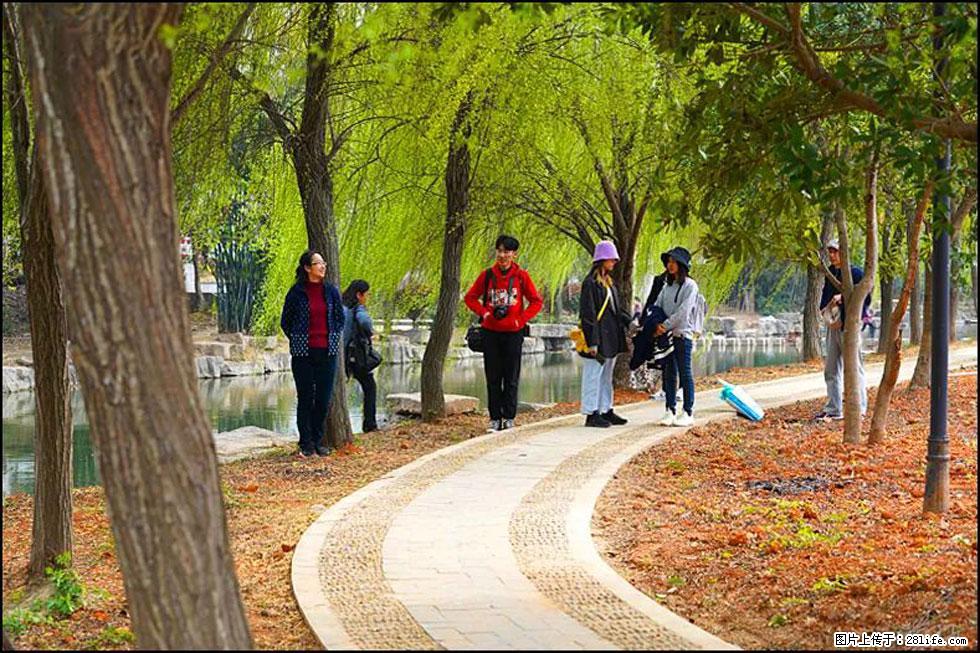 【春天，广西桂林灌阳县向您发出邀请！】江口老街又逢春 - 游山玩水 - 沈阳生活社区 - 沈阳28生活网 sy.28life.net