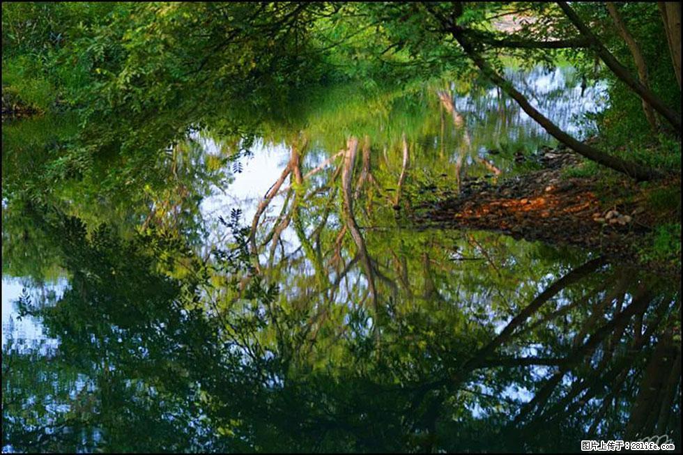 【春天，广西桂林灌阳县向您发出邀请！】熊家寨湿地公园 - 游山玩水 - 沈阳生活社区 - 沈阳28生活网 sy.28life.net