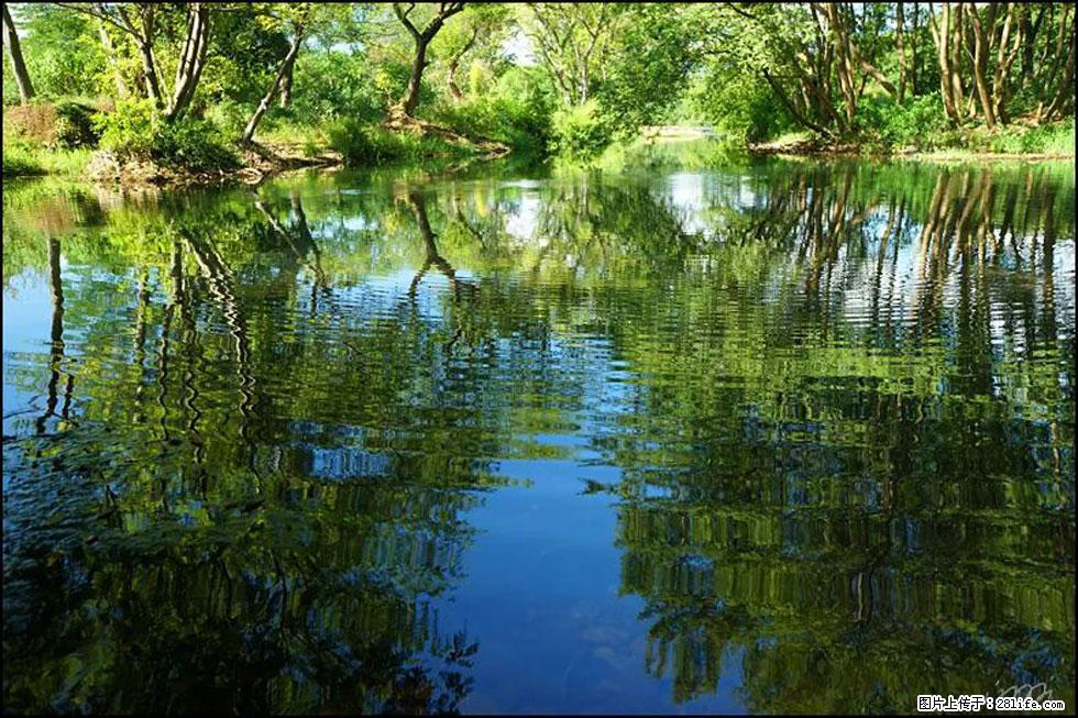 【春天，广西桂林灌阳县向您发出邀请！】熊家寨湿地公园 - 游山玩水 - 沈阳生活社区 - 沈阳28生活网 sy.28life.net