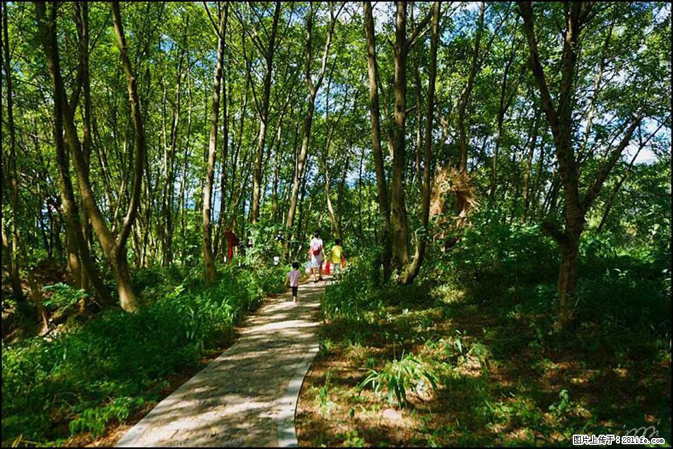 【春天，广西桂林灌阳县向您发出邀请！】熊家寨湿地公园 - 游山玩水 - 沈阳生活社区 - 沈阳28生活网 sy.28life.net
