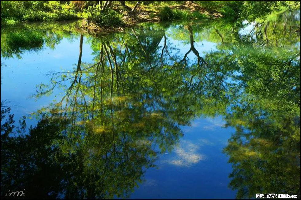 【春天，广西桂林灌阳县向您发出邀请！】熊家寨湿地公园 - 游山玩水 - 沈阳生活社区 - 沈阳28生活网 sy.28life.net