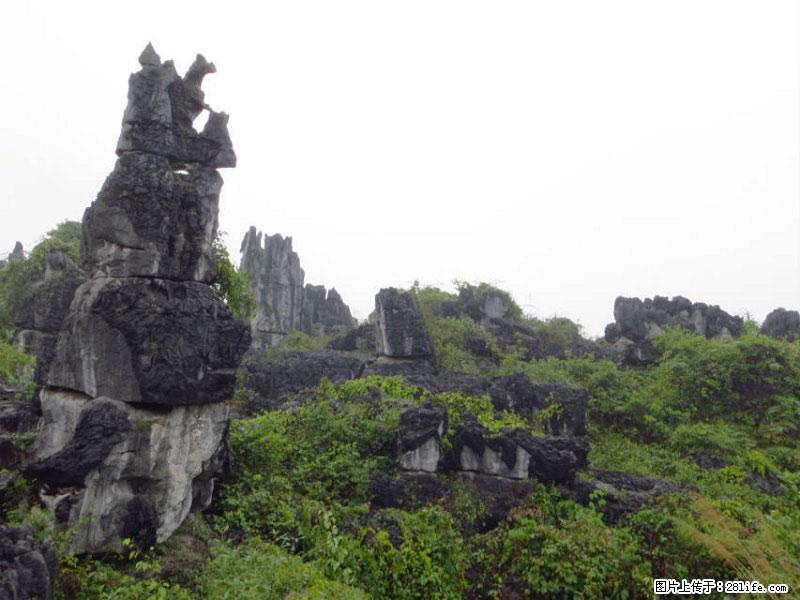 桂林旅游名城景点：灌阳文市石林 - 游山玩水 - 沈阳生活社区 - 沈阳28生活网 sy.28life.net