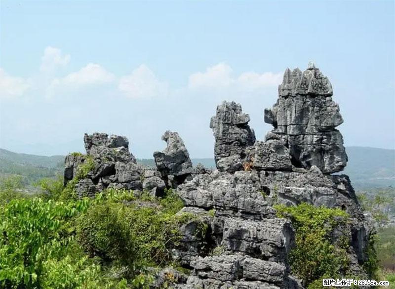 桂林旅游名城景点：灌阳文市石林 - 游山玩水 - 沈阳生活社区 - 沈阳28生活网 sy.28life.net