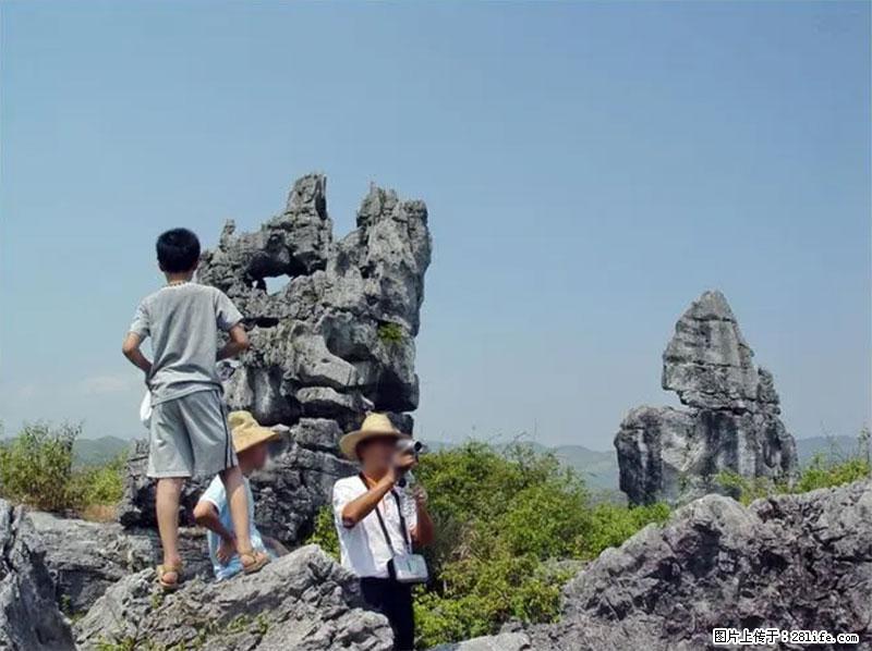 桂林旅游名城景点：灌阳文市石林 - 游山玩水 - 沈阳生活社区 - 沈阳28生活网 sy.28life.net