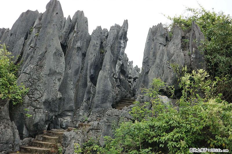 桂林旅游名城景点：灌阳文市石林 - 游山玩水 - 沈阳生活社区 - 沈阳28生活网 sy.28life.net