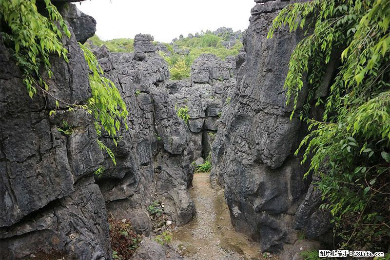 桂林旅游名城景点：灌阳文市石林 - 游山玩水 - 沈阳生活社区 - 沈阳28生活网 sy.28life.net