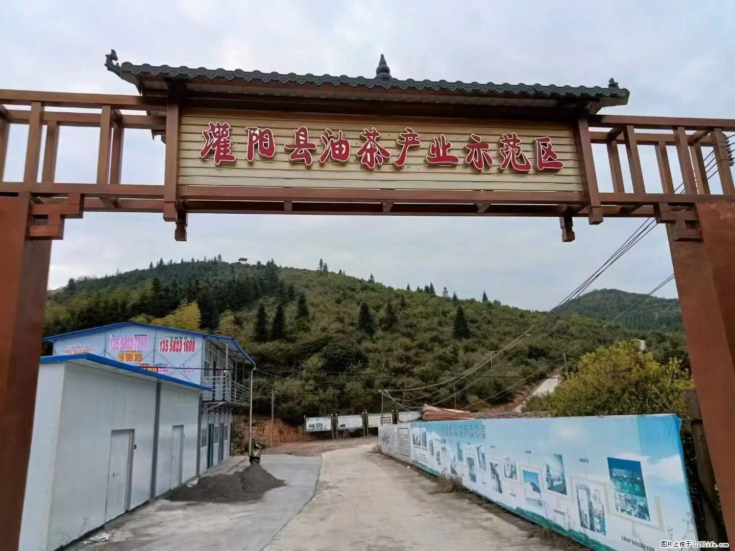 【灌阳县油茶产业示范区】一个有着充实的精神生活的人，对待身外之物自会有一种淡泊的态度 - 土特产 - 饮食特产 - 沈阳分类信息 - 沈阳28生活网 sy.28life.net