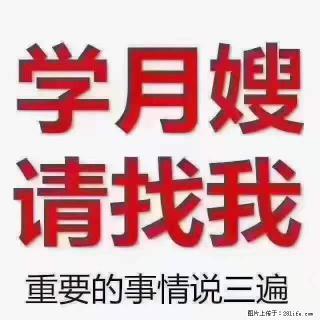 为什么要学习月嫂，育婴师？ - 沈阳28生活网 sy.28life.net