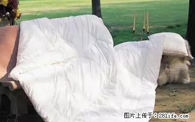 被子有异味？只要这样做，比晒太阳还强100倍！ - 家居生活 - 沈阳生活社区 - 沈阳28生活网 sy.28life.net