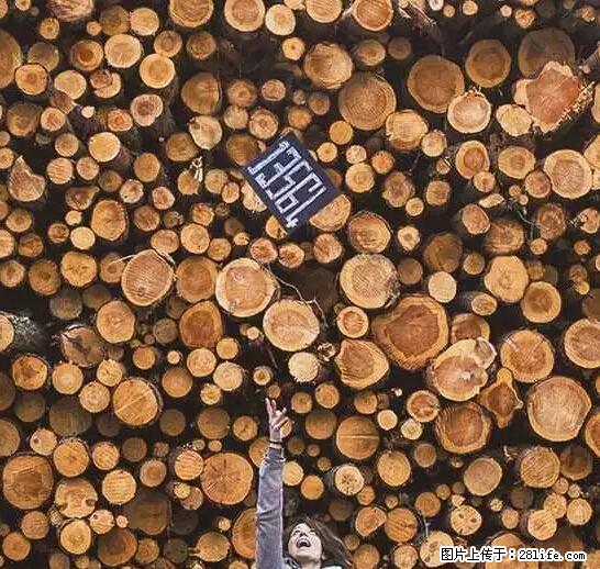 辞掉工作周游世界？现在他们在洗厕所…… - 游山玩水 - 沈阳生活社区 - 沈阳28生活网 sy.28life.net