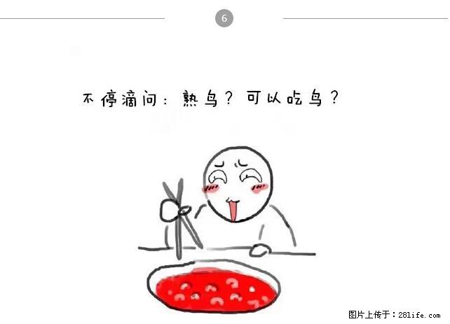 千万不要和这9种哈卵一起吃火锅！ - 美食天地 - 沈阳生活社区 - 沈阳28生活网 sy.28life.net