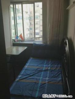 (单间出租)北站惠工 单双人间男生窗位宿舍公寓出租 月付 无中介看房费 - 沈阳28生活网 sy.28life.net