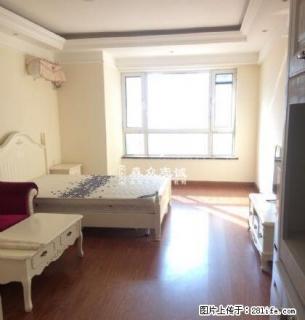 佳兆业青年大街辽台旁 品牌公寓 简约时尚一居室 期待你的来电 - 沈阳28生活网 sy.28life.net
