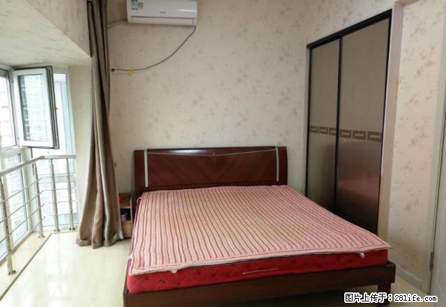 X中街天润广场精装一室小公寓 民用水电 干净舒适 谁看都能相 - 房屋出租 - 房屋租售 - 沈阳分类信息 - 沈阳28生活网 sy.28life.net
