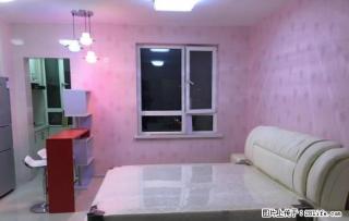 云峰北街地铁口 巴塞罗那 精装一室 新出房源 家乐福 万达 - 沈阳28生活网 sy.28life.net