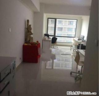 浑南奥体 万达公寓 56平纯写 精装修 包取暖物业 适合办公 - 沈阳28生活网 sy.28life.net