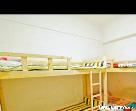 (单间出租)三好街 市图书馆 华强 百脑汇 东软 东北大学精装男女生公寓 - 房屋出租 - 房屋租售 - 沈阳分类信息 - 沈阳28生活网 sy.28life.net
