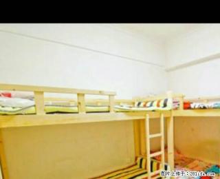 (单间出租)三好街 市图书馆 华强 百脑汇 东软 东北大学精装男女生公寓 - 沈阳28生活网 sy.28life.net