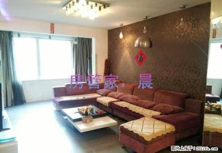 真实房源 真实图片 景星街 北二路 鑫丰俪城 婚装 家电齐全 - 沈阳28生活网 sy.28life.net