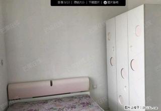 北一路万达星摩尔旁 鑫丰俪城 采光好 家电全 拎包即住 - 沈阳28生活网 sy.28life.net