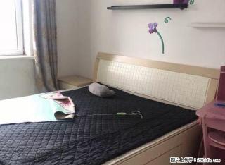 (单间出租)鑫淼人家 月付 包网 近东中街地铁口 大悦城 大什字街 - 沈阳28生活网 sy.28life.net