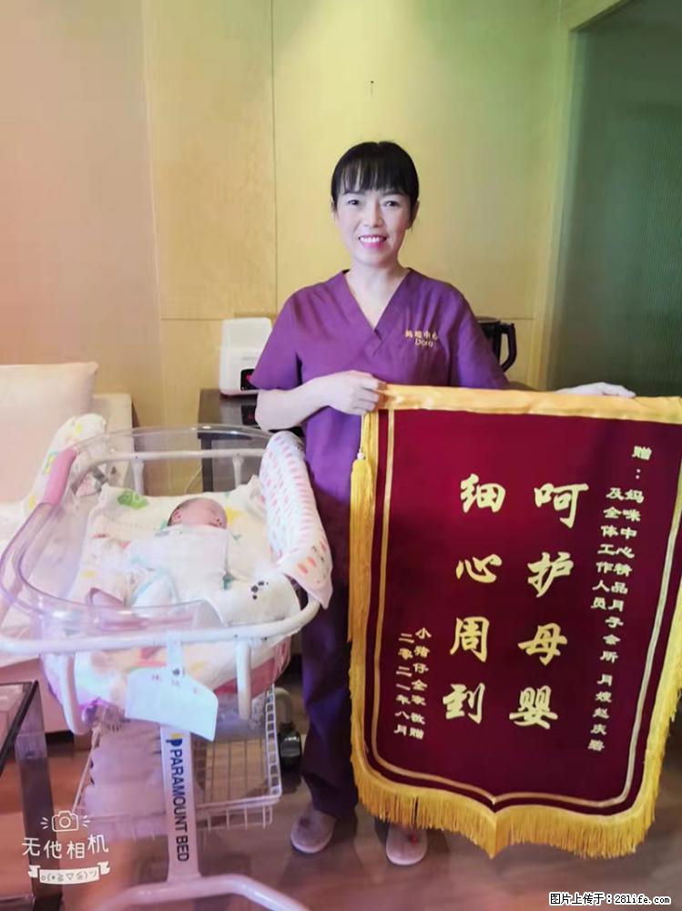 上海高端月子会所招新手月嫂，零基础带教，包吃住 - 职场交流 - 沈阳生活社区 - 沈阳28生活网 sy.28life.net
