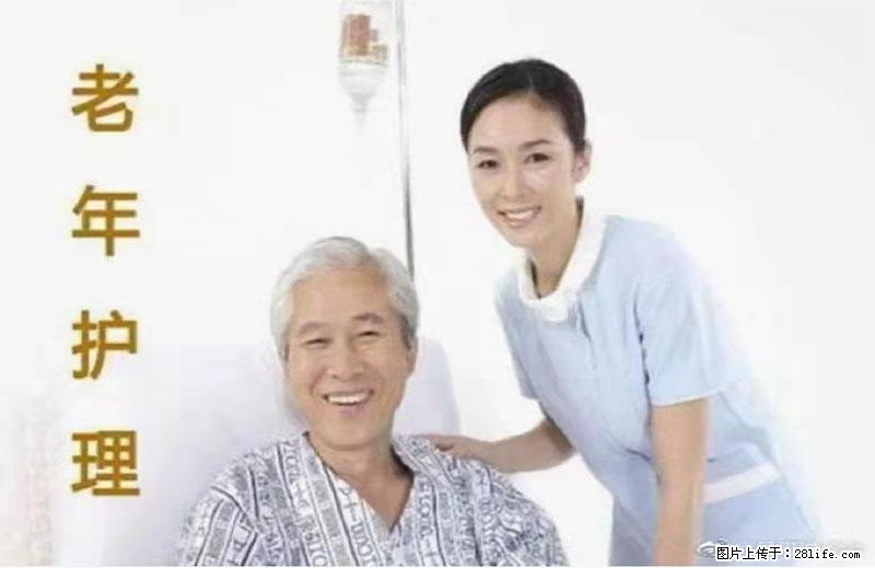 上海国企养老院，星级酒店环境，招聘养老护工 - 职场交流 - 沈阳生活社区 - 沈阳28生活网 sy.28life.net