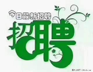 【招聘摄像师】待遇：试用期6000元/月，转正7000元/月+五险一金+餐补+节日福利+奖金 - 沈阳28生活网 sy.28life.net