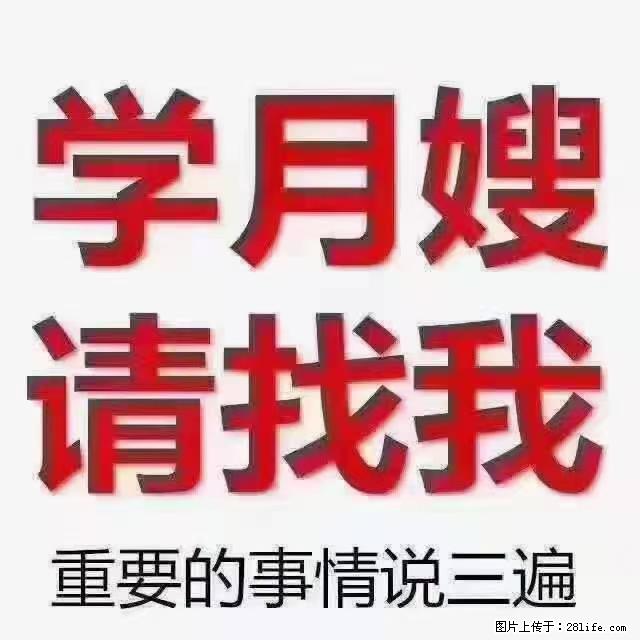 【招聘】月嫂，上海徐汇区 - 职场交流 - 沈阳生活社区 - 沈阳28生活网 sy.28life.net