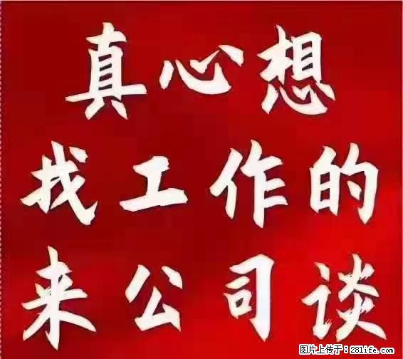 【上海】国企，医院招两名男保安，55岁以下，身高1.7米以上，无犯罪记录不良嗜好 - 职场交流 - 沈阳生活社区 - 沈阳28生活网 sy.28life.net