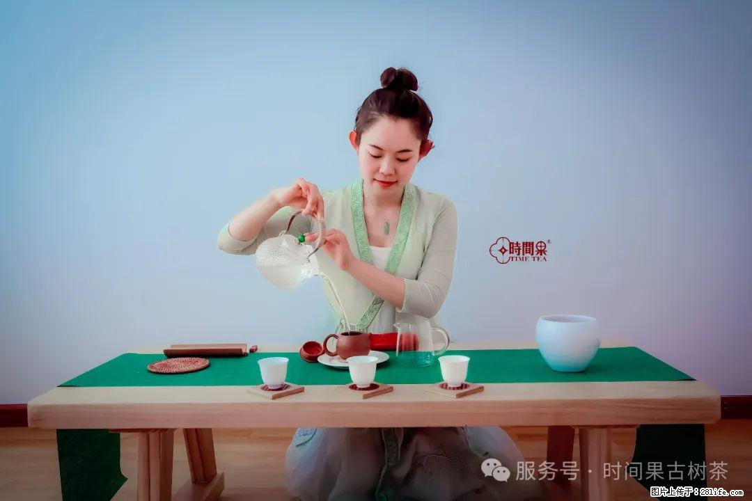 时间果百年古树龙珠普洱生茶 - 购物交流 - 沈阳生活社区 - 沈阳28生活网 sy.28life.net
