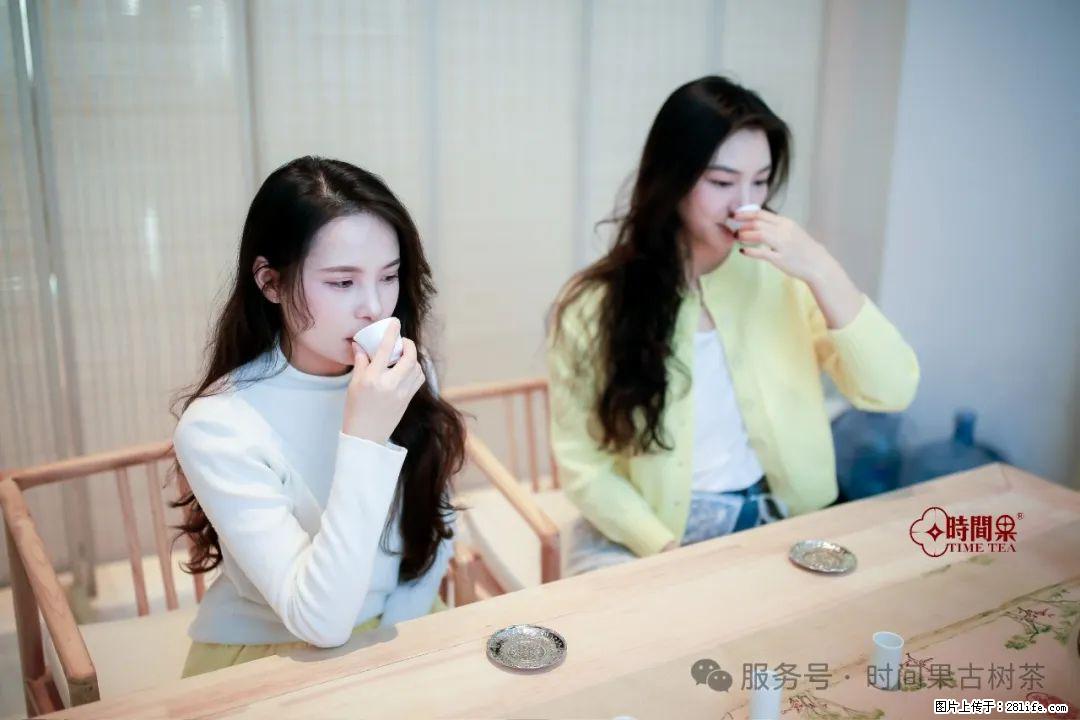 时间果百年古树龙珠普洱生茶 - 购物交流 - 沈阳生活社区 - 沈阳28生活网 sy.28life.net