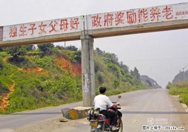 全面两孩政策计划明年元旦起实施 夫妻可延长生育假 - 沈阳生活资讯 - 沈阳28生活网 sy.28life.net