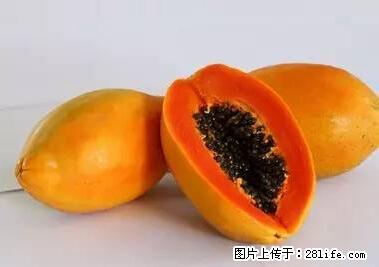 晕车、脚气、牙齿变黄、皮肤粗糙？学会这些三分钟搞定！ - 沈阳生活资讯 - 沈阳28生活网 sy.28life.net