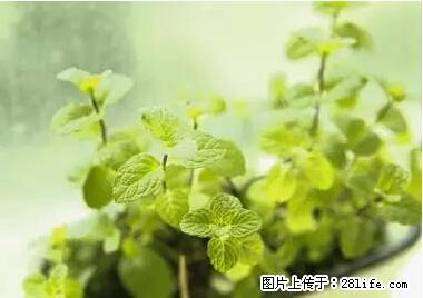 晕车、脚气、牙齿变黄、皮肤粗糙？学会这些三分钟搞定！ - 沈阳生活资讯 - 沈阳28生活网 sy.28life.net