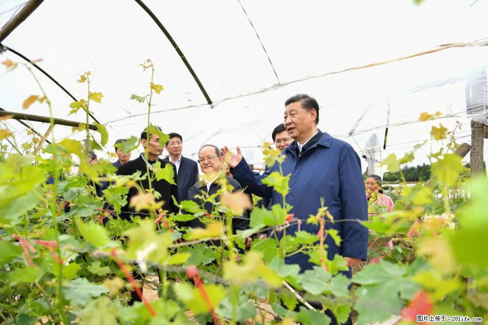 习近平赴广西考察调研 - 沈阳生活资讯 - 沈阳28生活网 sy.28life.net