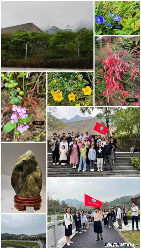 “粤灌文化 美好生活”油茶文化主题活动在广东深圳成功举办 - 沈阳生活资讯 - 沈阳28生活网 sy.28life.net