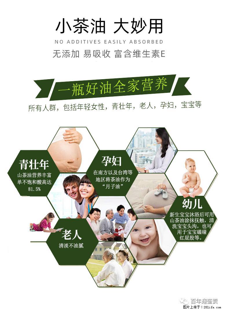 世界没有真相，只有认知，最好的食用油是中国的山茶油！ - 沈阳生活资讯 - 沈阳28生活网 sy.28life.net