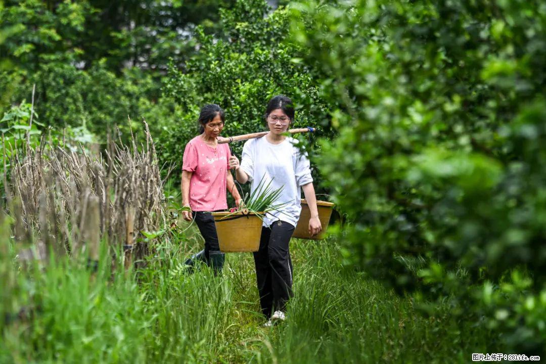 全网追的“扁担女孩”，找了一份暑假工，时薪12元 - 沈阳生活资讯 - 沈阳28生活网 sy.28life.net