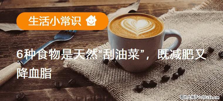 【生活小常识】6种食物是天然“刮油菜”，既减肥又降血脂 - 沈阳生活资讯 - 沈阳28生活网 sy.28life.net