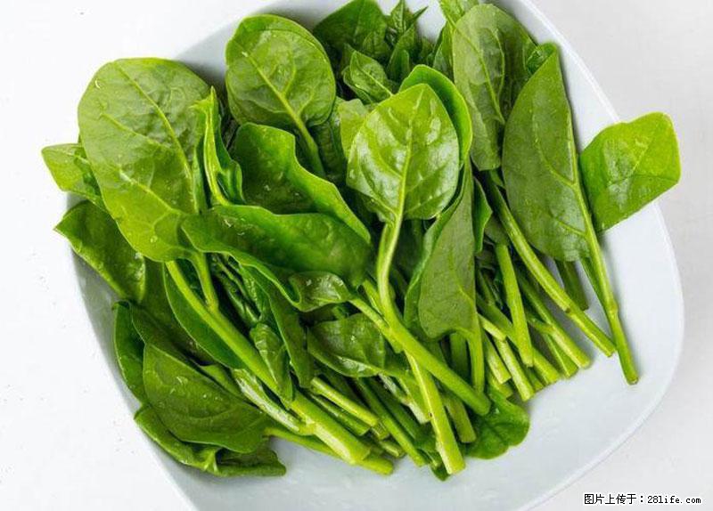 这些蔬菜是“天然钙片”，这6种被医生重点推荐 - 沈阳生活资讯 - 沈阳28生活网 sy.28life.net