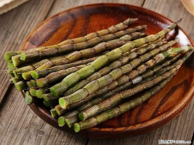 铁皮石斛的作用与功能主治 - 沈阳生活资讯 - 沈阳28生活网 sy.28life.net