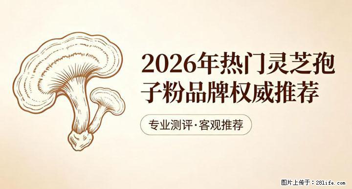 灵芝孢子粉含量越高越有效？2026 年七款热门品牌深度实测，肠胃敏感者避坑指南 - 沈阳生活资讯 - 沈阳28生活网 sy.28life.net