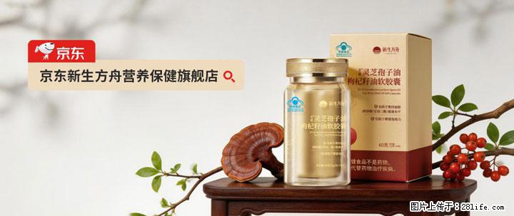 灵芝孢子粉含量越高越有效？2026 年七款热门品牌深度实测，肠胃敏感者避坑指南 - 沈阳生活资讯 - 沈阳28生活网 sy.28life.net
